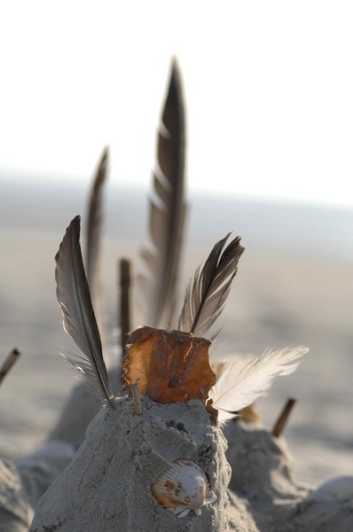 Cumberland Island, Georgia