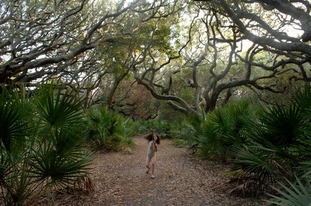 Cumberland Island, Georgia